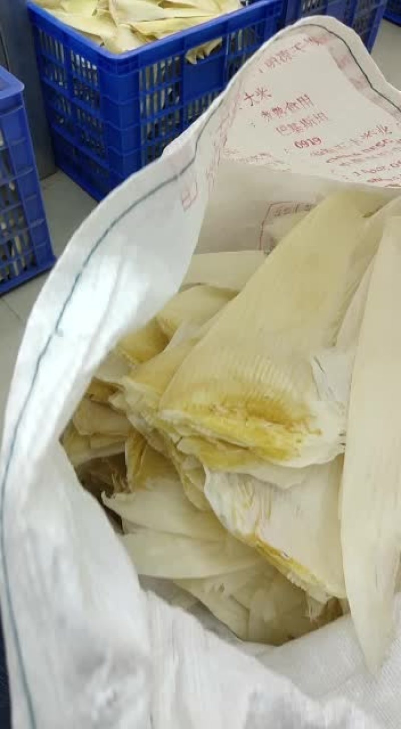 鱼翅批发行！！！！！！