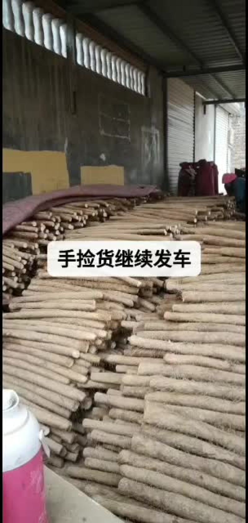 白玉山药大通货大量上市