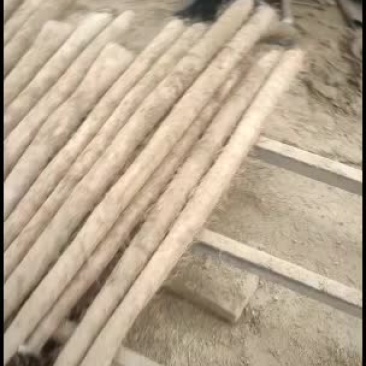 白玉山药大通货大量上市