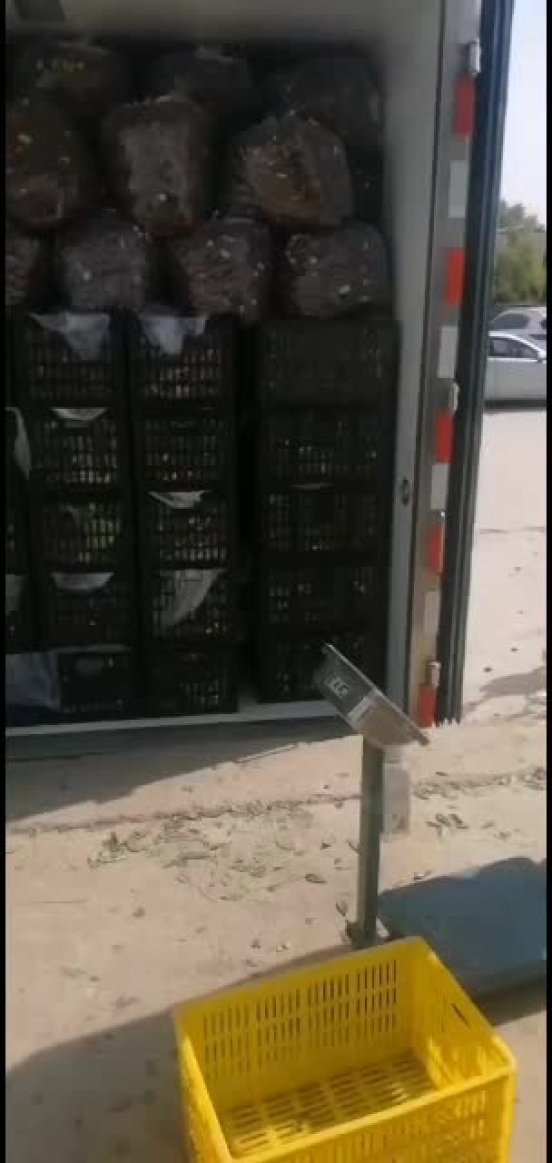 两万斤走没多少货了，抓紧了。