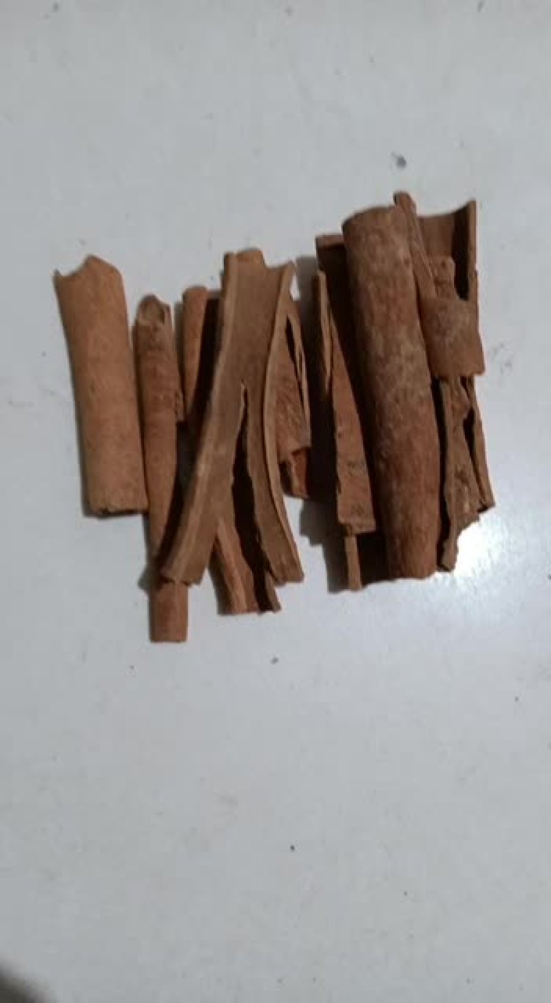 桂皮广西桂皮粉肉桂粉八卤肉料炖肉料