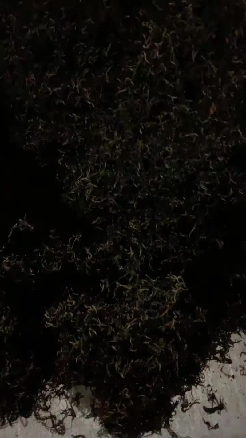 英德英红九号红茶世界高香红茶