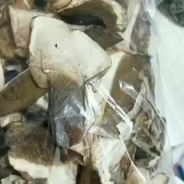 美味牛肝菌（干片）可用于炖汤，味道鲜美，口感很好