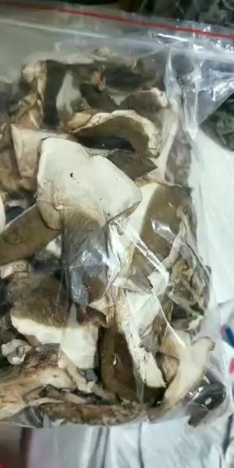美味牛肝菌（干片）可用于炖汤，味道鲜美，口感很好