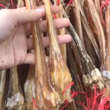 鹿筋(各种规格有货)