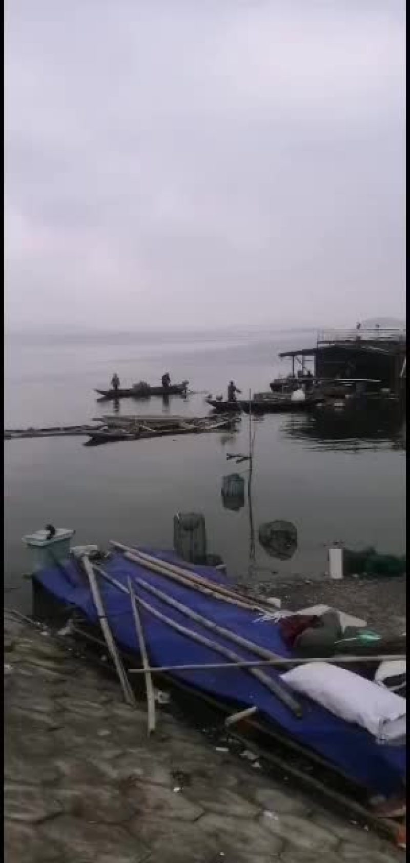 物美价廉味道鲜美大闸蟹