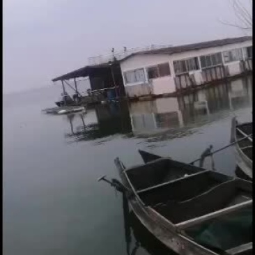 物美价廉味道鲜美大闸蟹