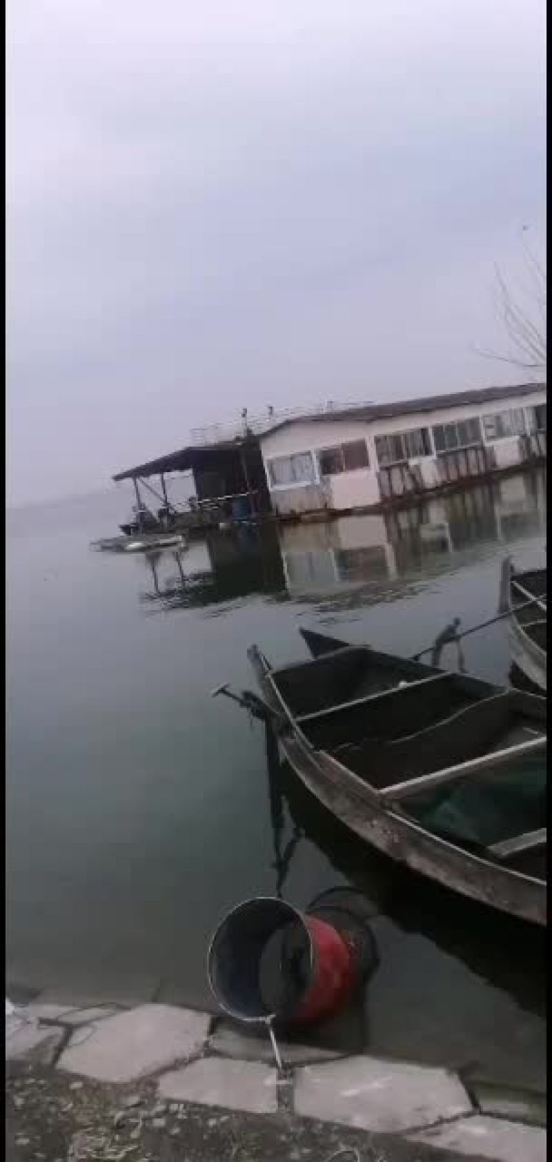 物美价廉味道鲜美大闸蟹