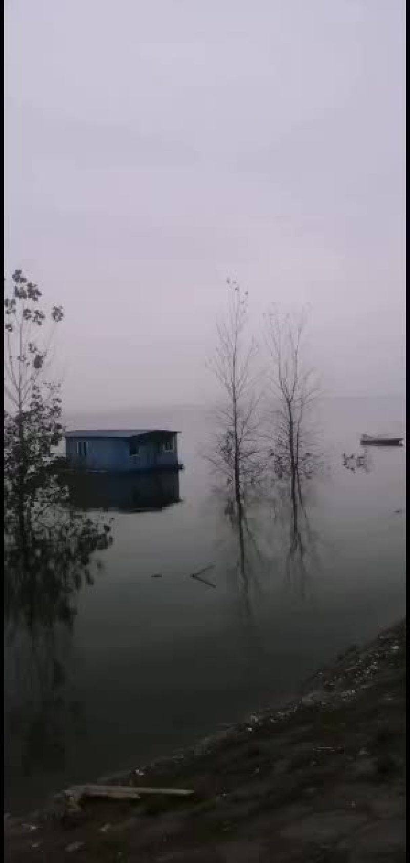 物美价廉味道鲜美大闸蟹