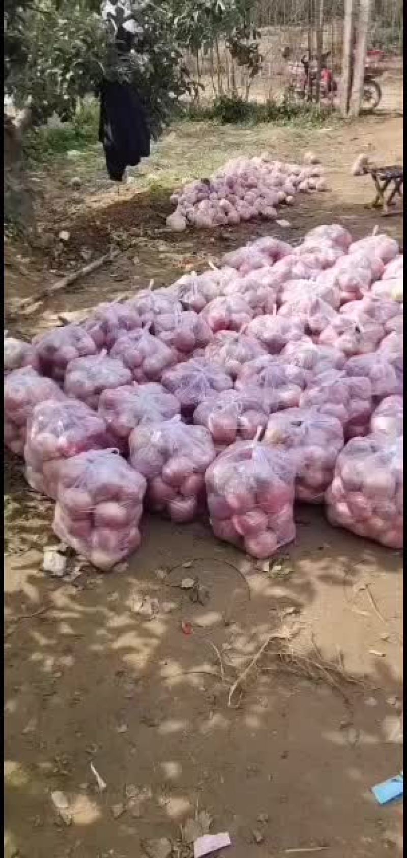 纸加膜高次膜袋高次