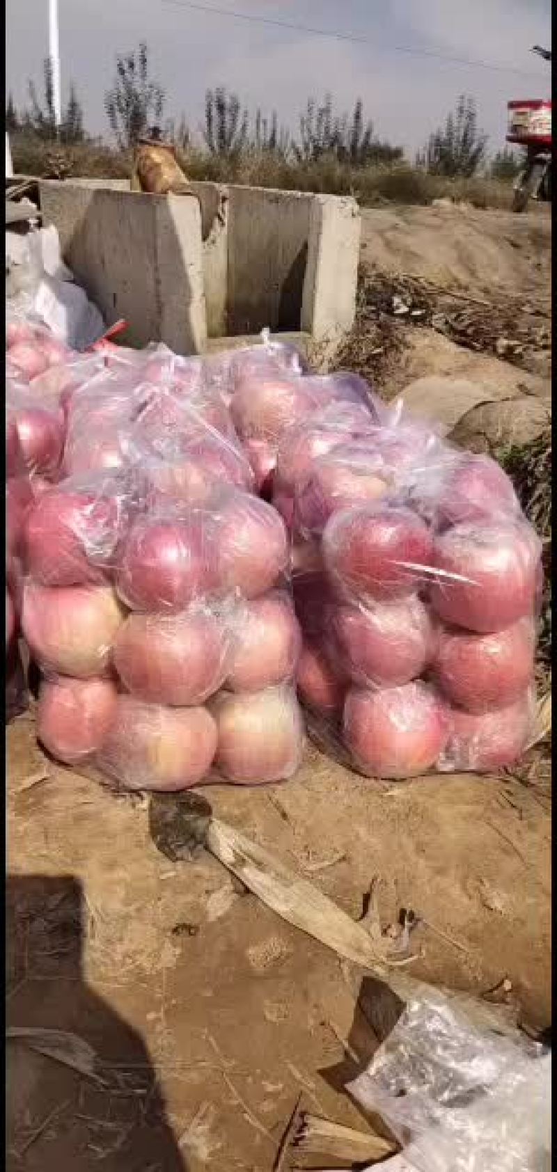 纸加膜高次膜袋高次