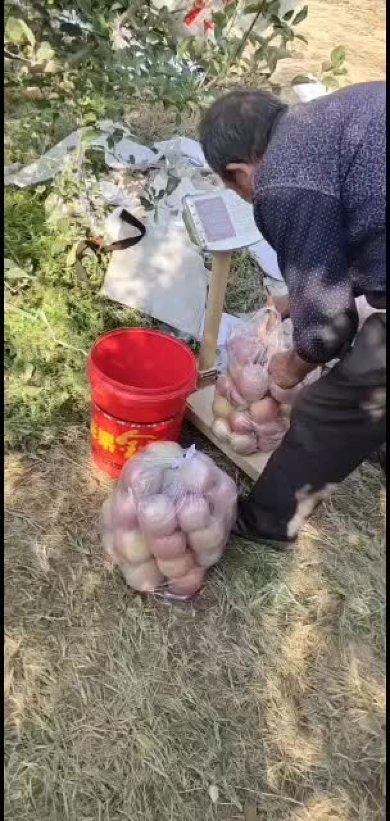 纸加膜高次膜袋高次