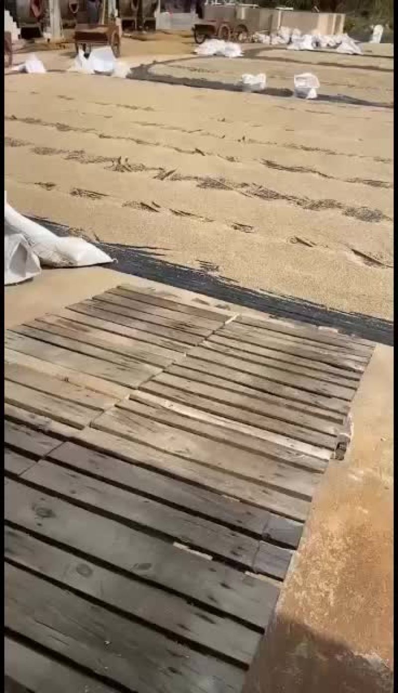 香料水洗胡焦欢迎选购