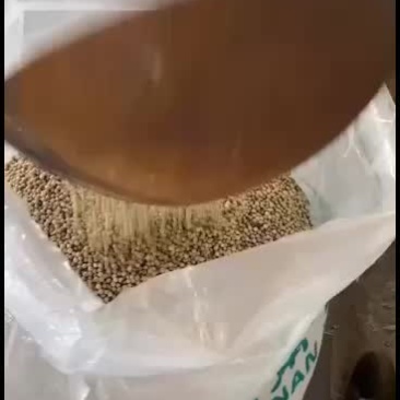 香料水洗胡焦欢迎选购