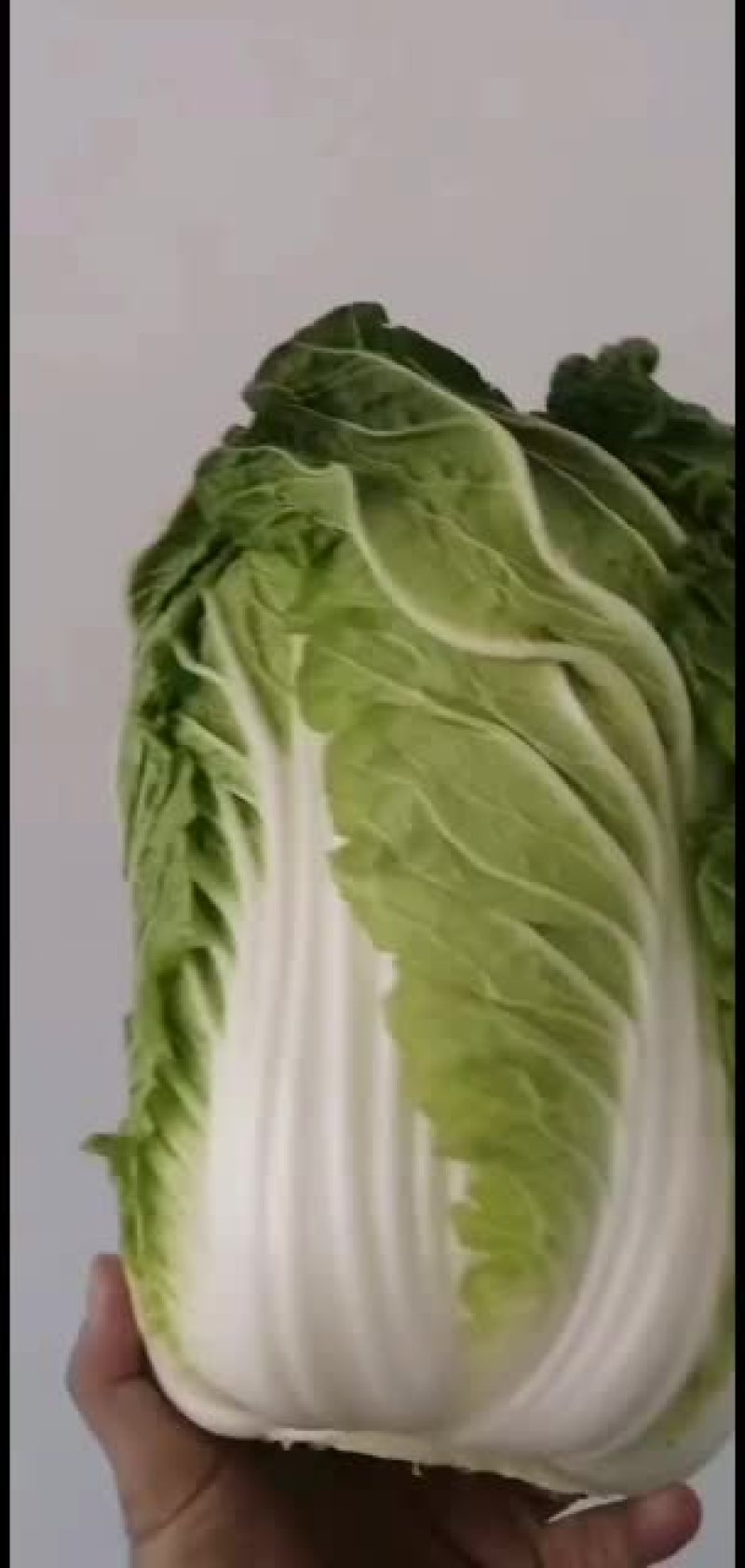 黄心白菜玲珑黄质量好信誉第一