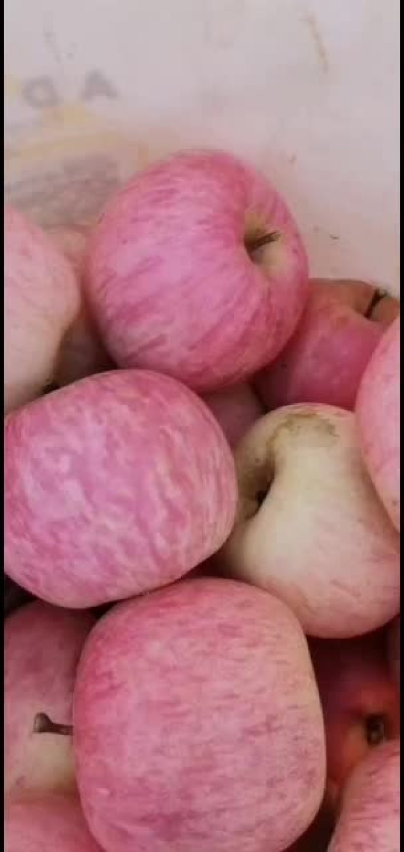 苹果批发，价格低廉，自家种植