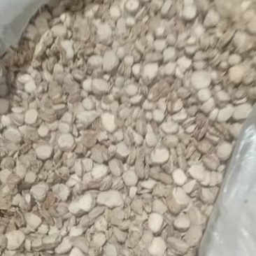 山奈沙姜砂姜粉三奈干沙姜炖肉