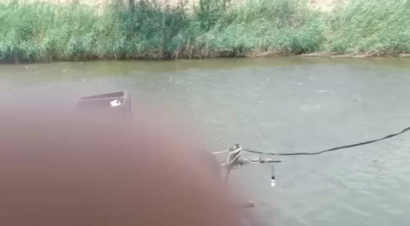 草鱼，白鲢，花鲢，全国都可