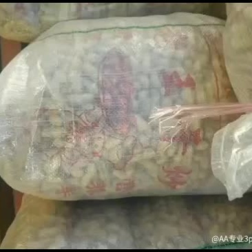 产地直发，价格商议，什么质量都有
