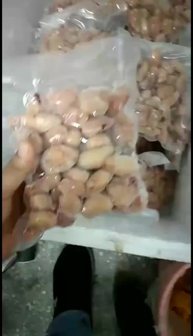 冻鸡腰子