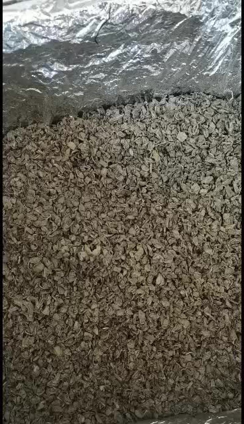 罗布麻罗布麻颗粒干货农产品无土干净一公斤起批