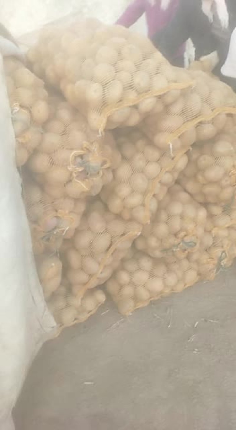 旱地土豆，农家肥种植，不打农药，