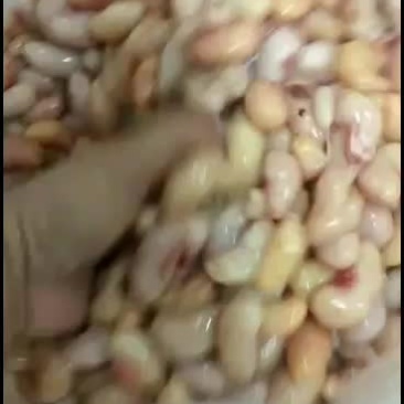 鸡腰子冻鸡腰