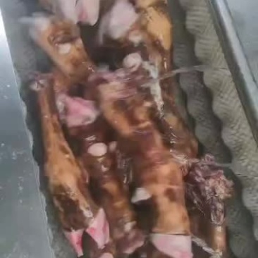 火烧牛蹄，厂家直销，质量看得见！