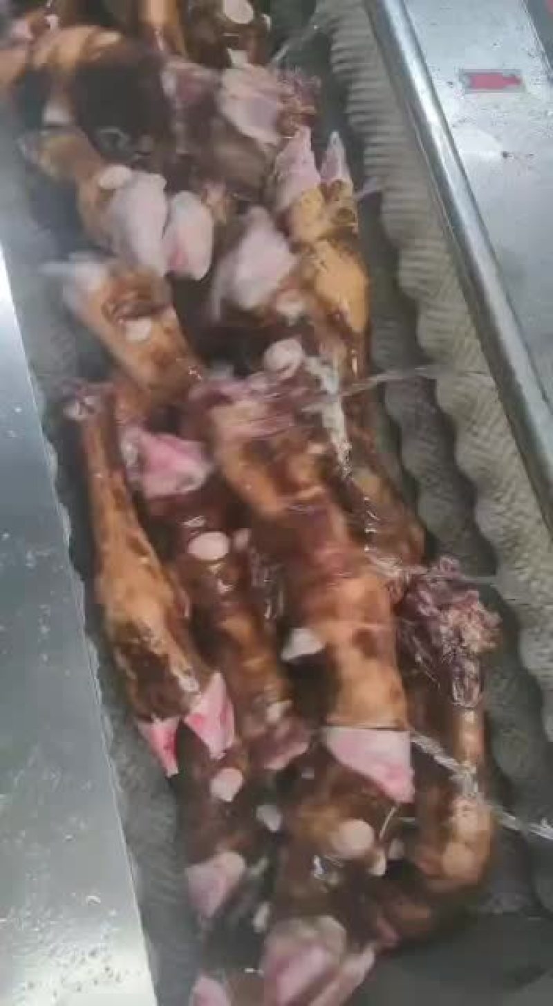 火烧牛蹄，厂家直销，质量看得见！