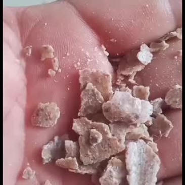 纯花生饼好货不多看货说价