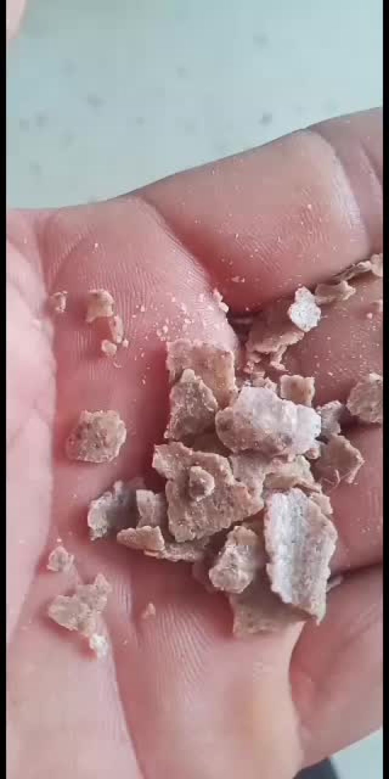 纯花生饼好货不多看货说价