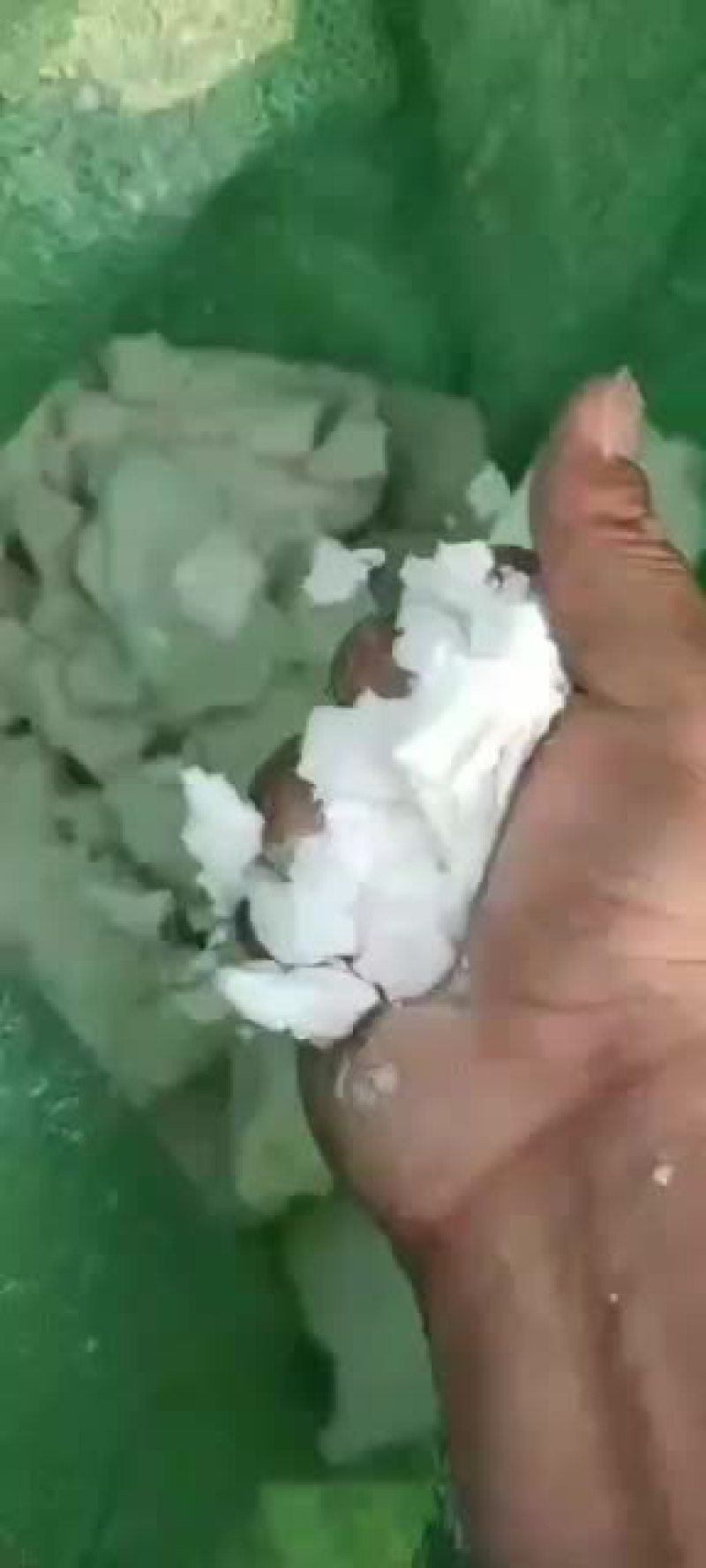 马铃薯湿淀粉需要你就来
