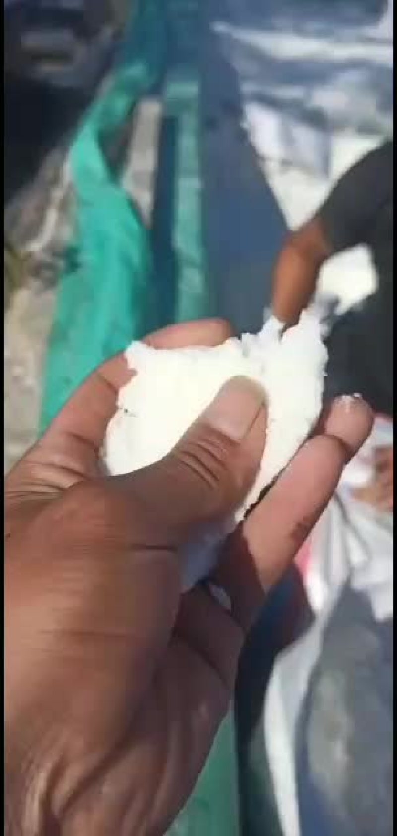 马铃薯湿淀粉需要你就来