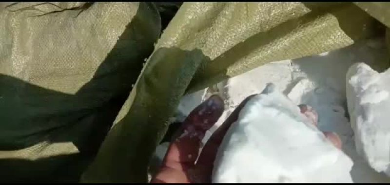 马铃薯湿淀粉需要你就来