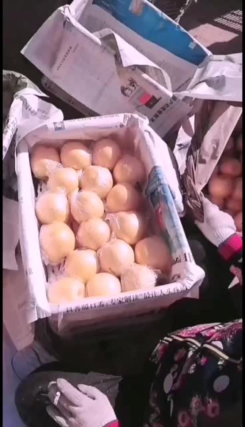 雪花梨不多啦，需要的抓紧啦！！