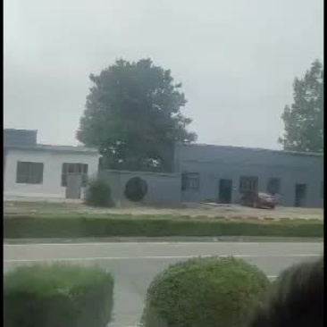 苗木供应苗木直供苗木直供