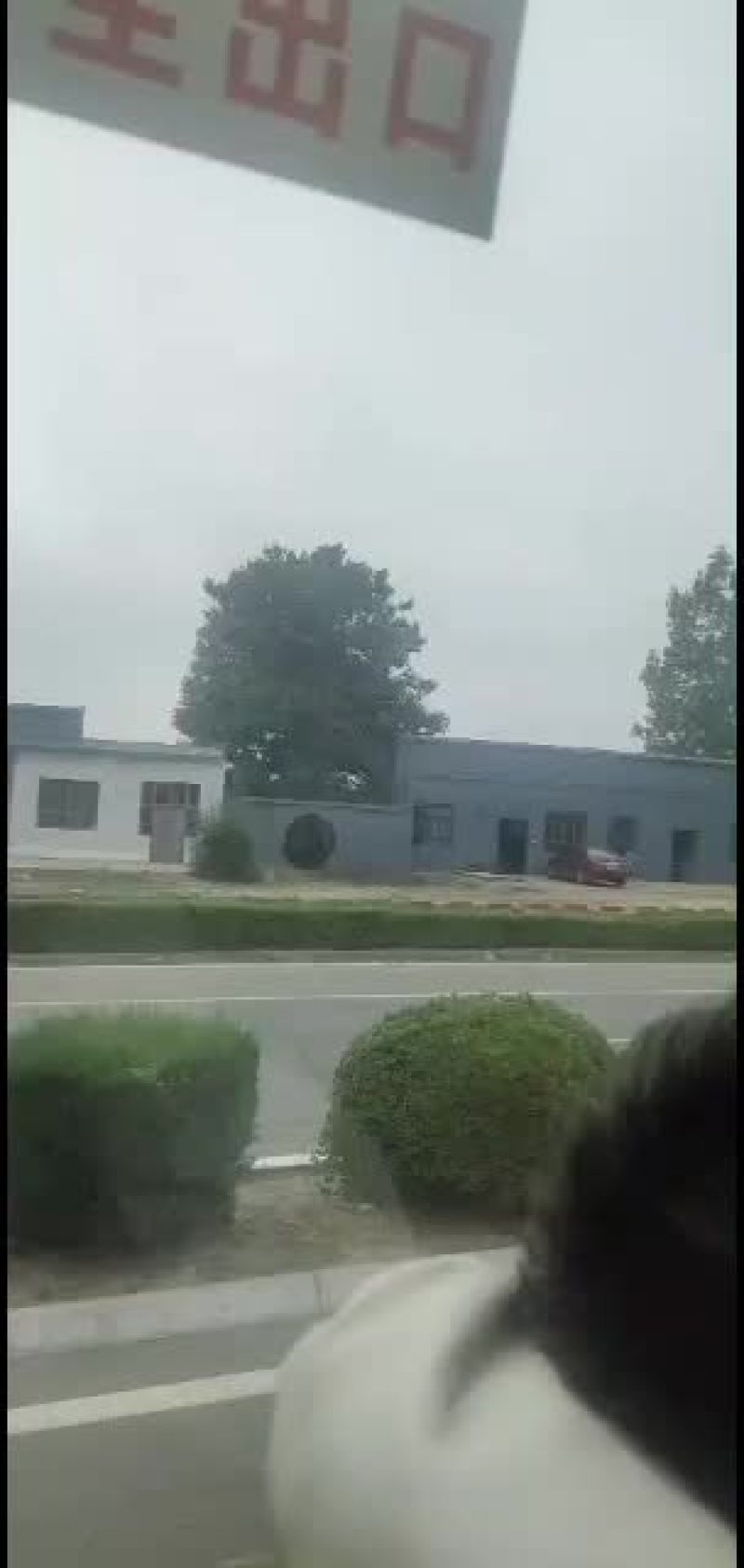 苗木供应苗木直供苗木直供