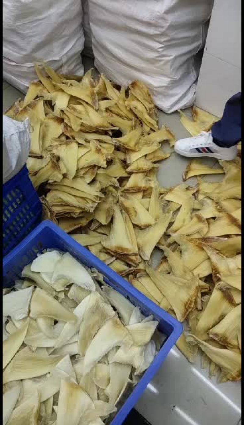 鱼翅批发市场！！！！