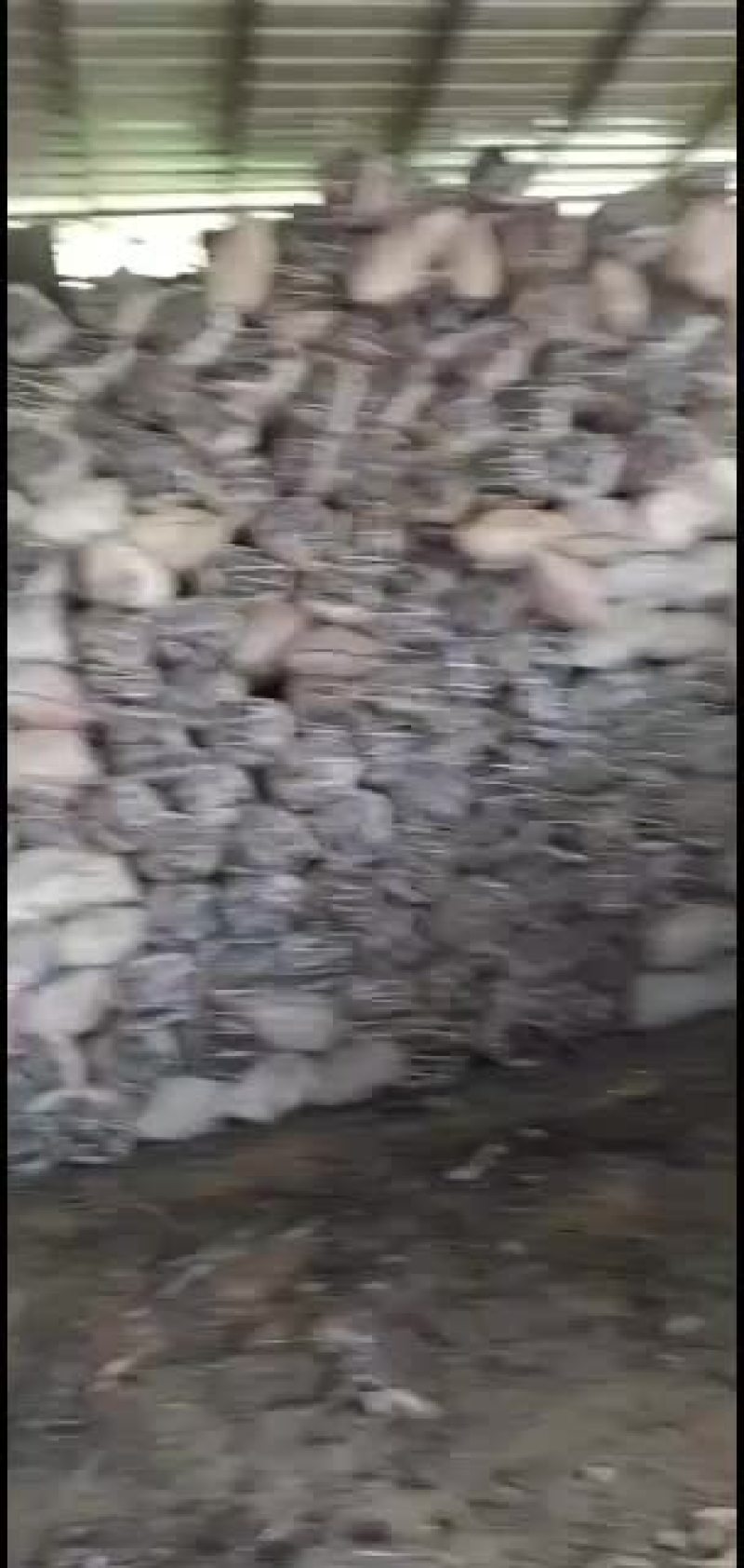 广西正正规规的龙眼木炭