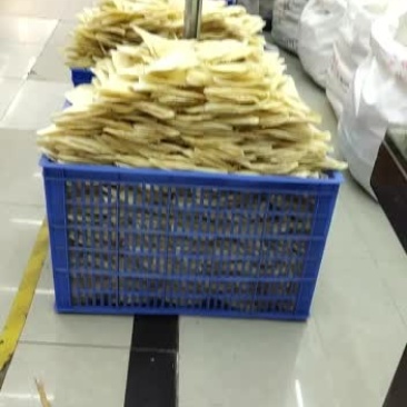 鱼翅批发行！做鱼翅我们是认真的！！
