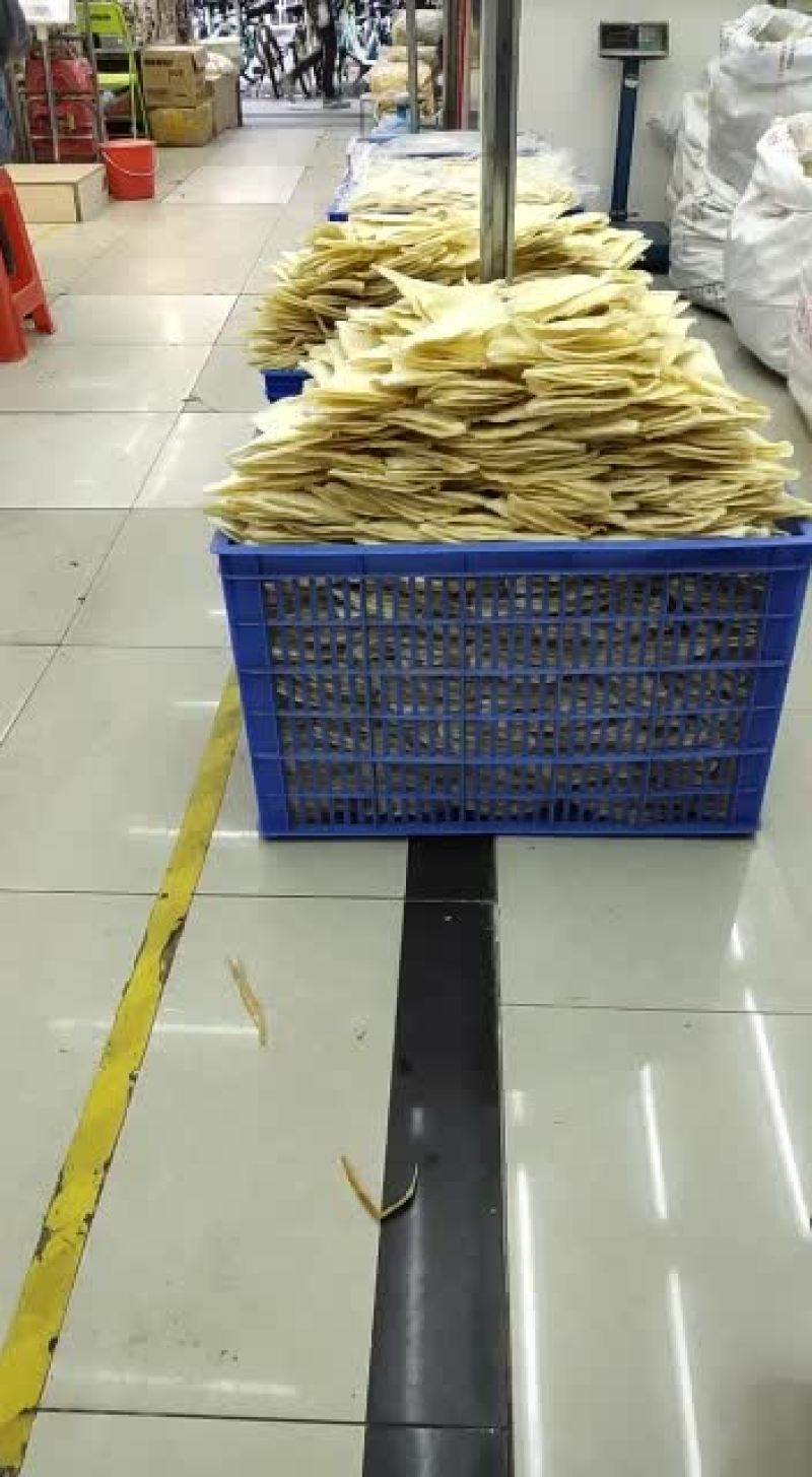 鱼翅批发行！做鱼翅我们是认真的！！
