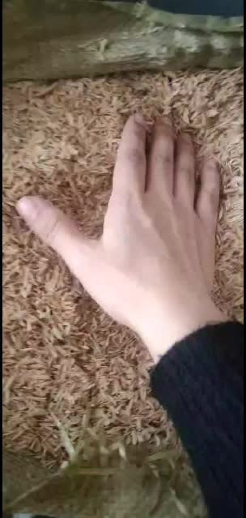 压缩稻壳，江西直发，一件代发