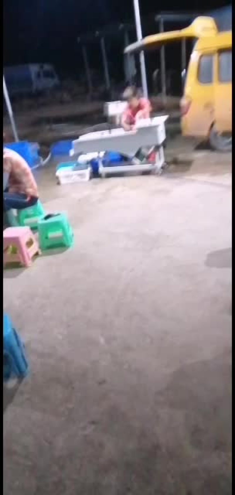 原生态饮用水库白条鱼