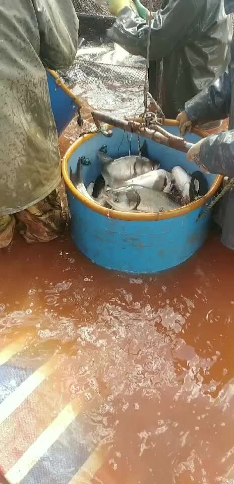 水产