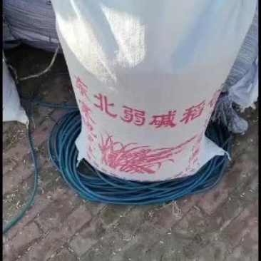 东北优质精选稻谷来自北纬45度的问候