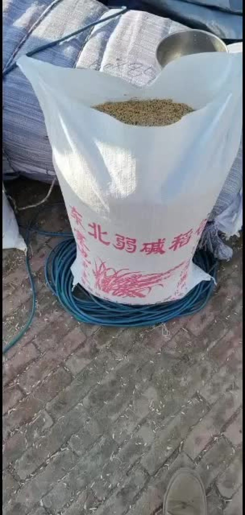 东北优质精选稻谷来自北纬45度的问候