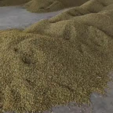 新疆葡萄干一级大一级二级大二级三级大三级一级麻子