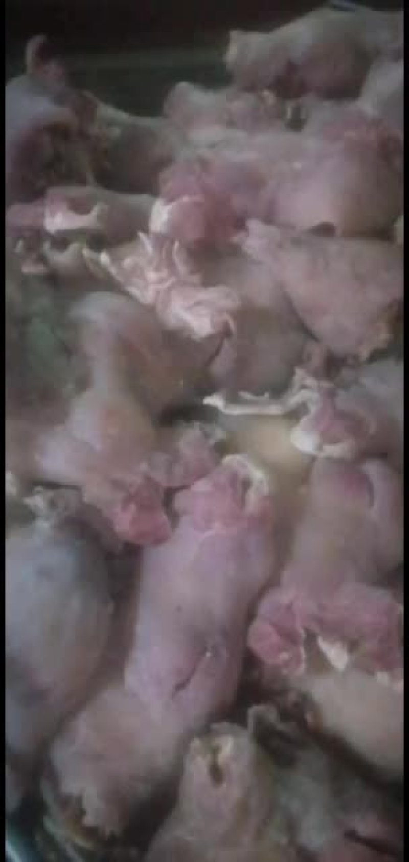 新鲜牛头肉长期供货不断货全网低价抢购中