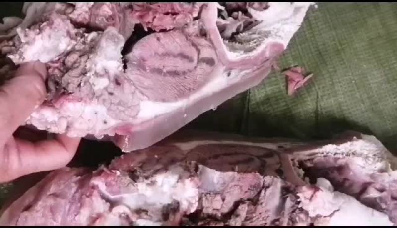 新鲜牛头肉长期供货不断货全网低价抢购中