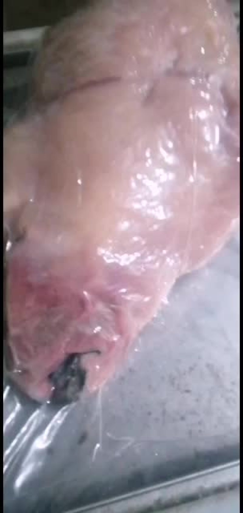 新鲜牛头肉长期供货不断货全网低价抢购中